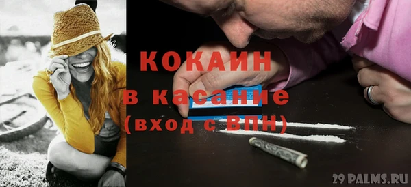 сатива Дмитриев