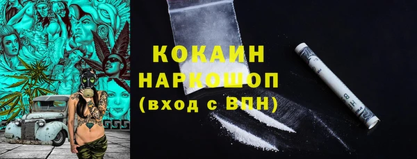 сатива Дмитриев