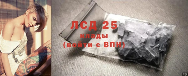 сатива Дмитриев