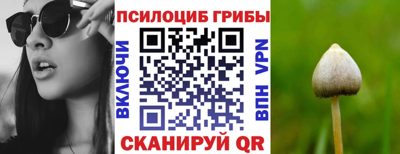 Купить закладки  Кумертау  Псилоцибиновые грибы прущие грибы 